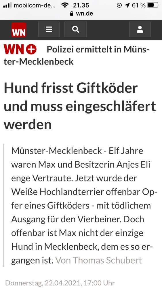 Giftköder-Vergifteter Hund-Profilbild