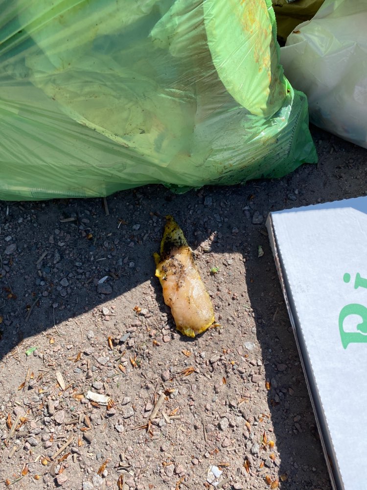 Giftköder-Rohes Fleisch im Hammer Park-Profilbild