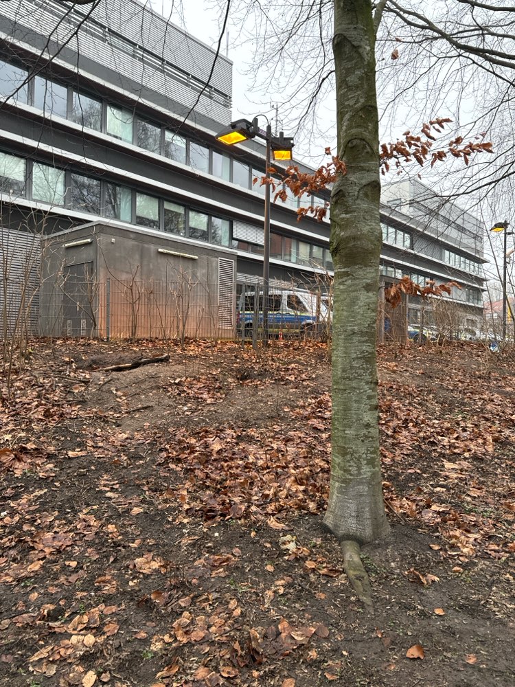 Giftköder-Möglicher Giftköder-Profilbild