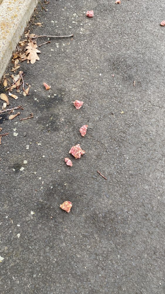 Giftköder-Wurststücke (evtl. Giftköder)-Profilbild