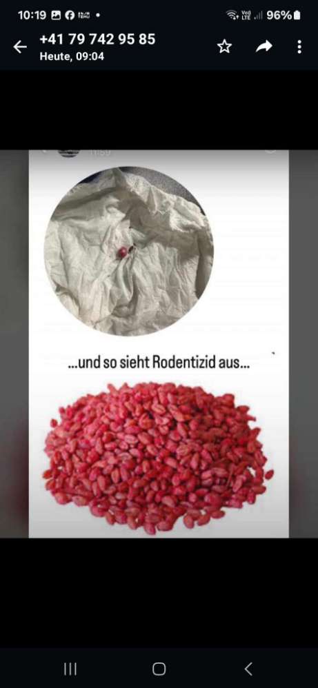 Giftköder-Rattengift, Rodentizid-Profilbild