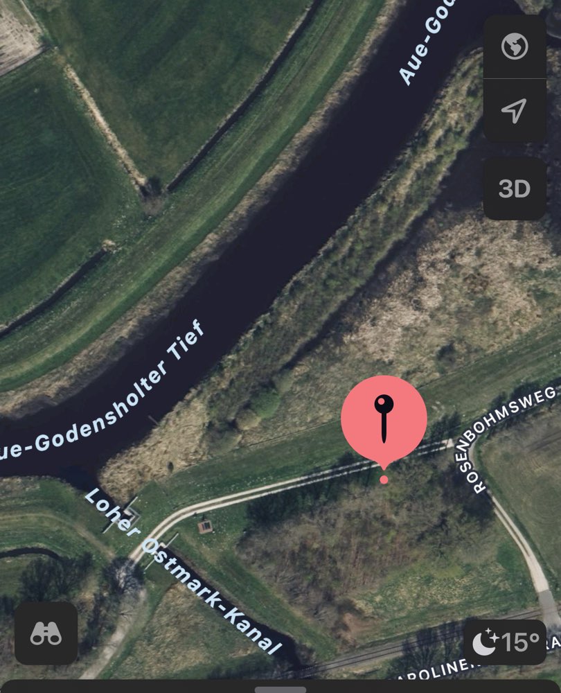 Giftköder-Eichenprozessionsspinner-Profilbild