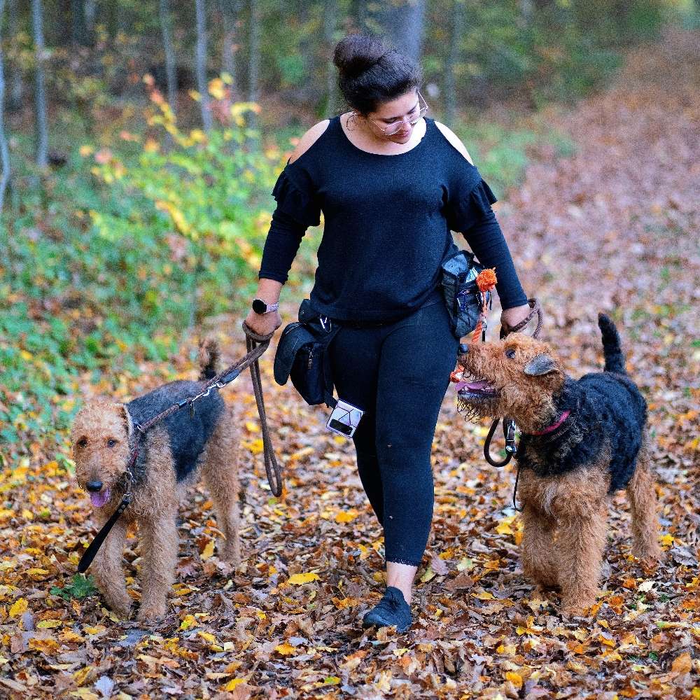 Hundetreffen-Spatzieren-Profilbild