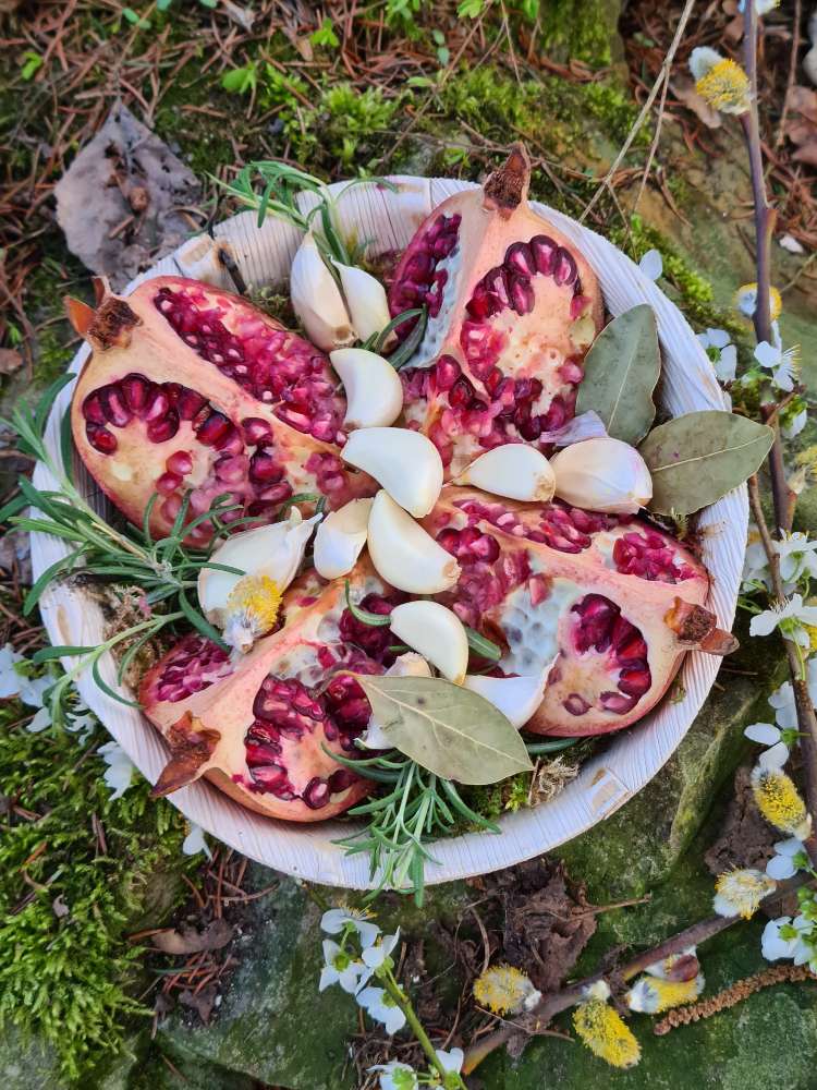 Giftköder-Blaues Korn an Bäumen auf der Wiese-Profilbild