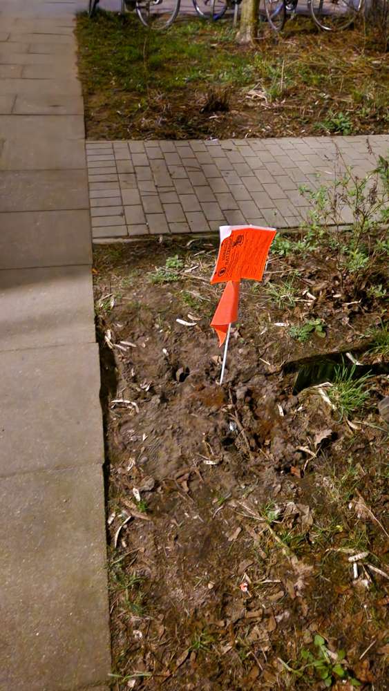 Giftköder-Rattengift-Profilbild