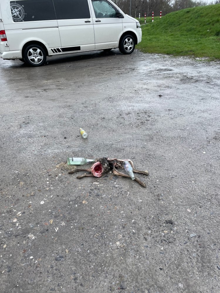 Giftköder-Totes Rehkitz-Profilbild