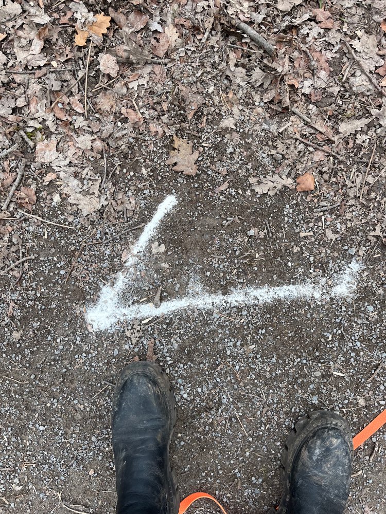 Giftköder-Weißes Pulver evtl Rattengift-Profilbild