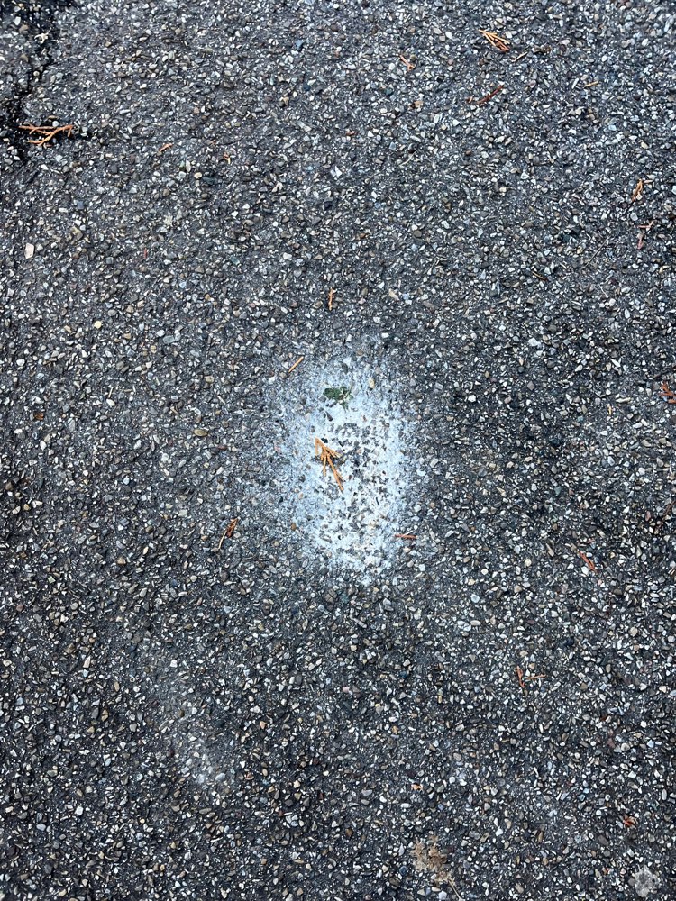 Giftköder-Weißes Pulver-Profilbild