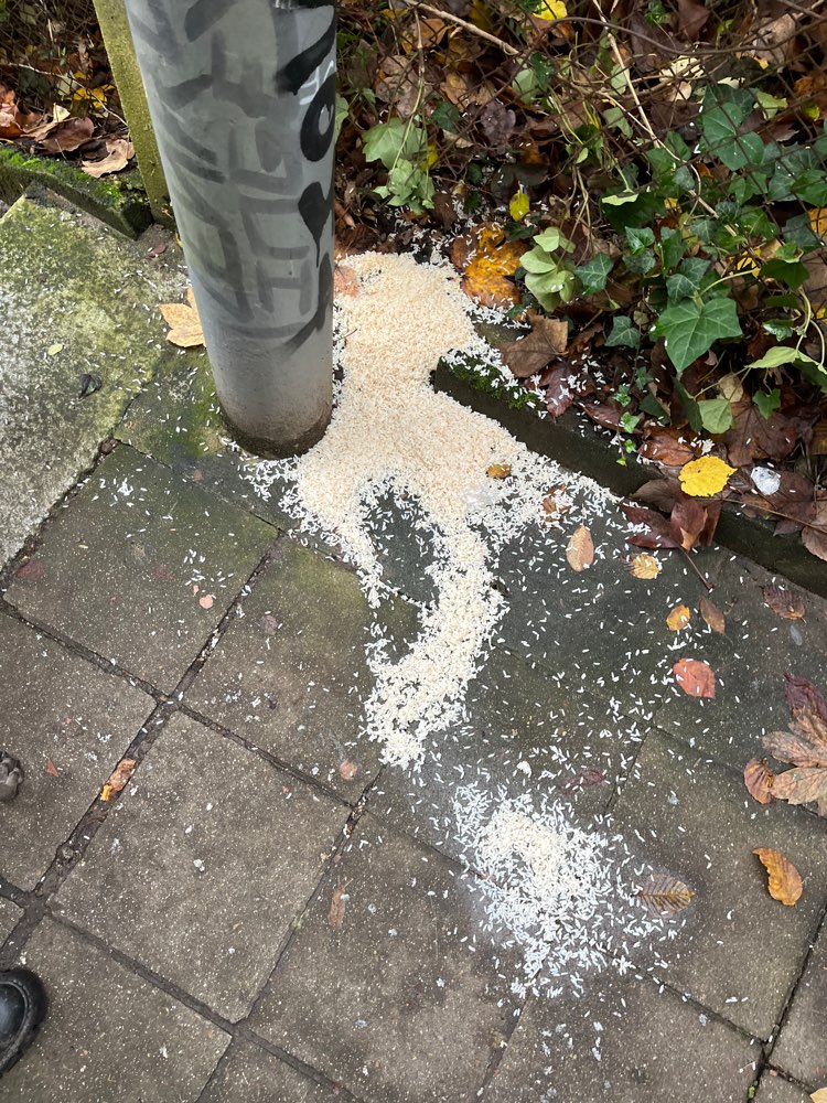 Giftköder-Reis, evtl mit Giftköder-Profilbild