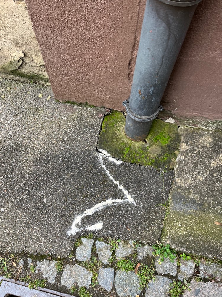 Giftköder-Weißes Pulver-Profilbild