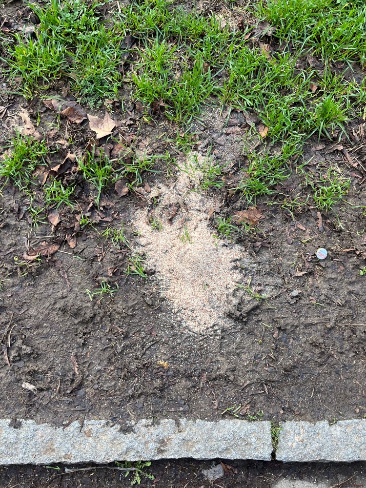 Giftköder-Leinsamenschrot evtl Giftköder-Profilbild