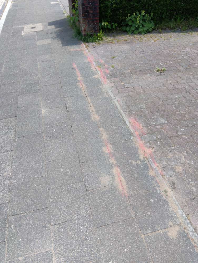 Giftköder-Ameisengift Rotes Pulver-Profilbild