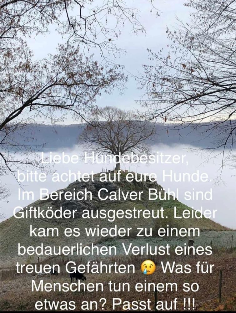 Giftköder-Giftköder-Profilbild