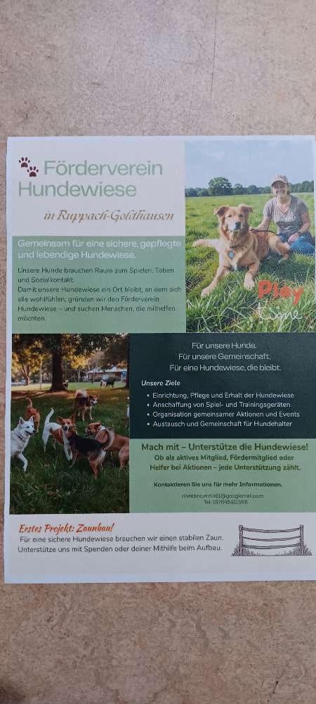 Hundetreffen-Förderverein Hundewiese-Profilbild