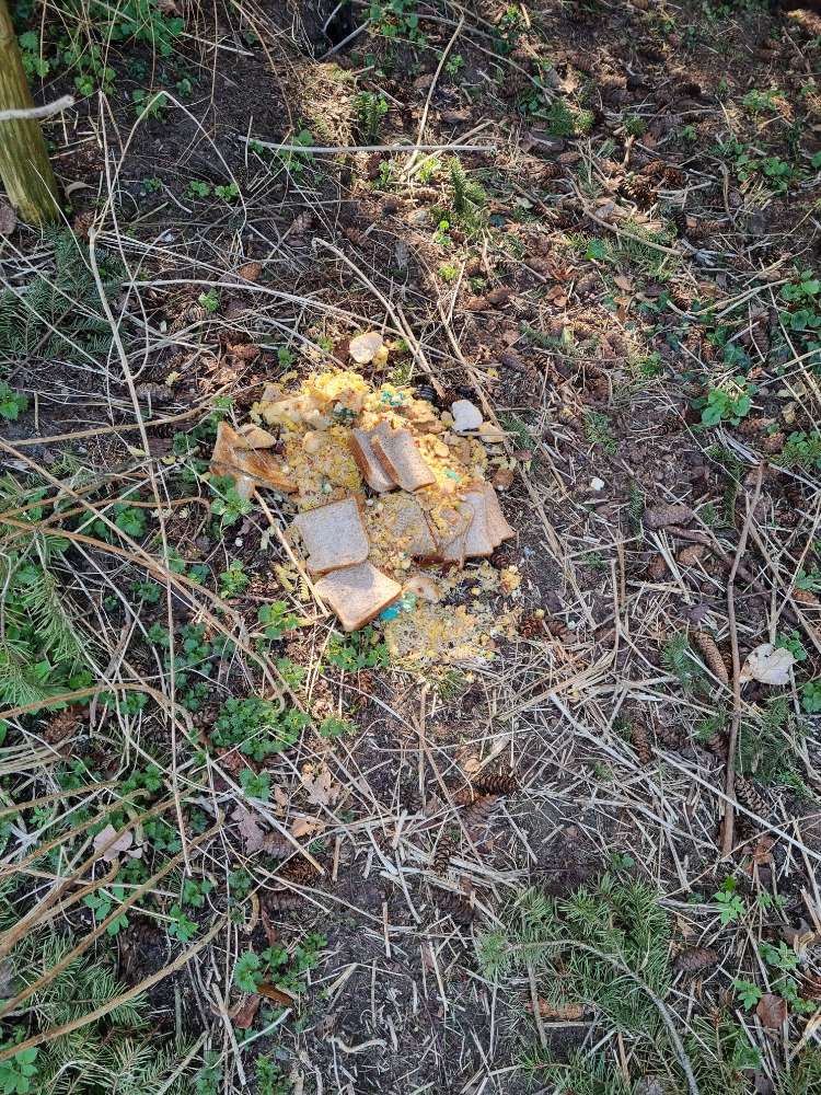 Giftköder-Essensreste, mögliches Gift am Wegesrand-Profilbild