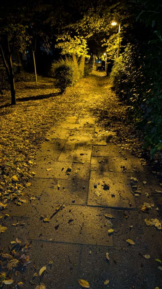 Giftköder-Eventuell Giftköder-Profilbild