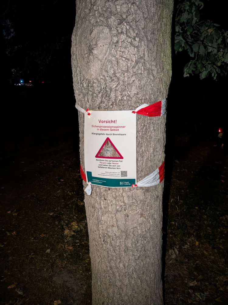 Giftköder-Eichenprozessionsspinner Rosentalpark-Profilbild
