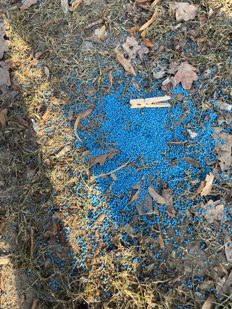 Giftköder-Giftköder-Profilbild