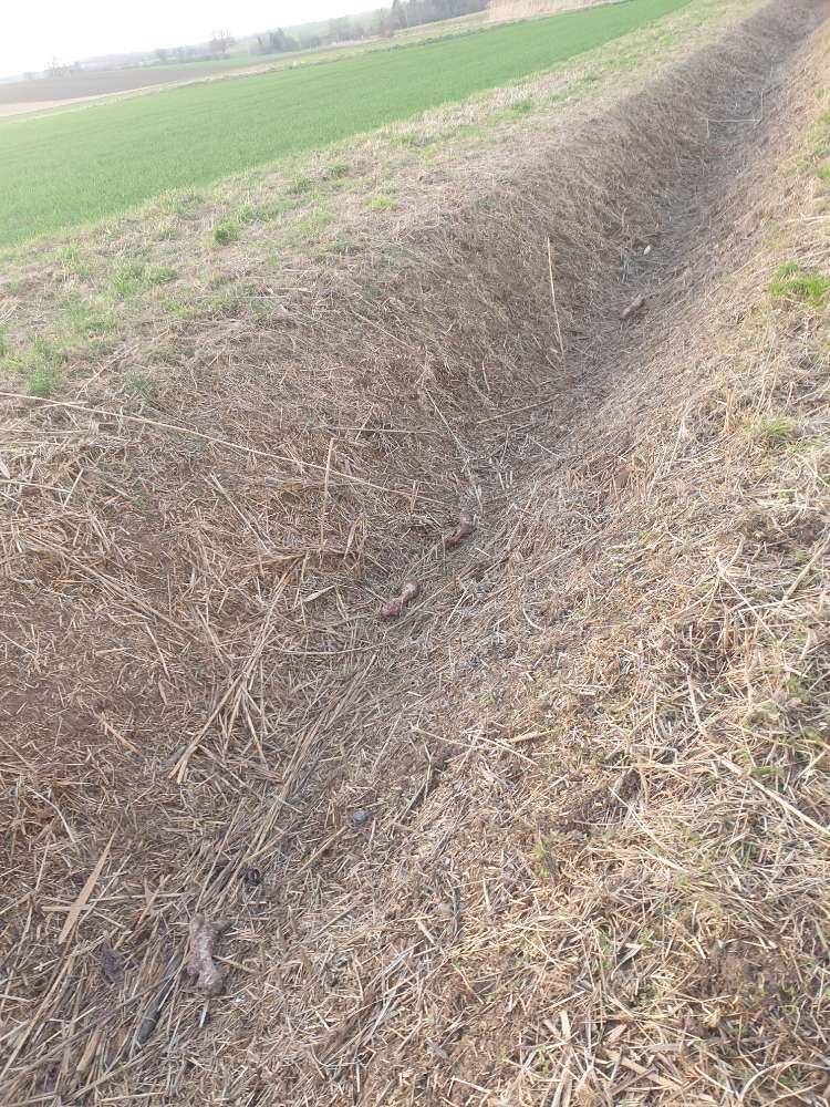 Giftköder-Tierknochen-Profilbild