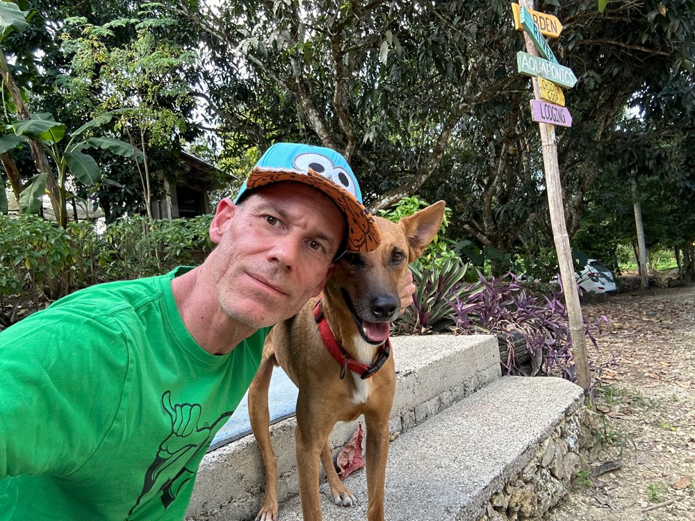 Hundetreffen-🐶✨ Luki sucht Hundefreunde zum Spielen & Gassi gehen ✨🐾-Profilbild