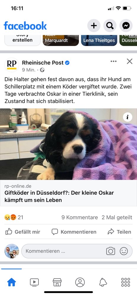Giftköder-Giftköder-Profilbild