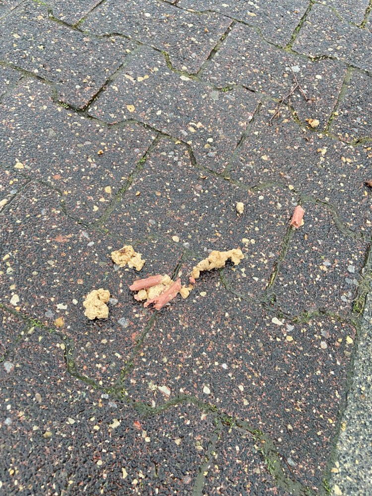 Giftköder-Futter ausgelegt-Profilbild