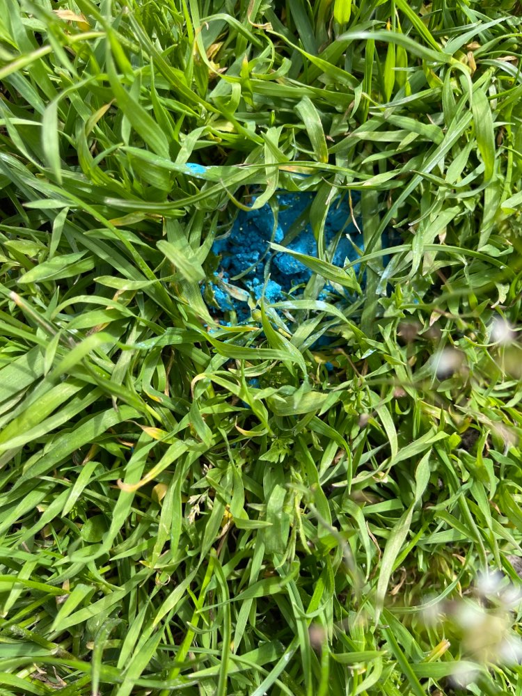 Giftköder-Rattengift-Profilbild