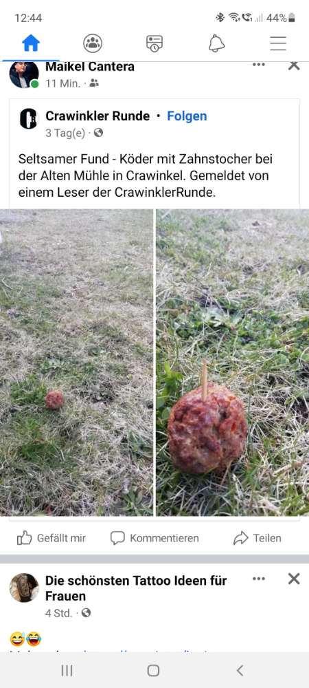 Giftköder-Hackbällchen mit Zahnstocher-Profilbild