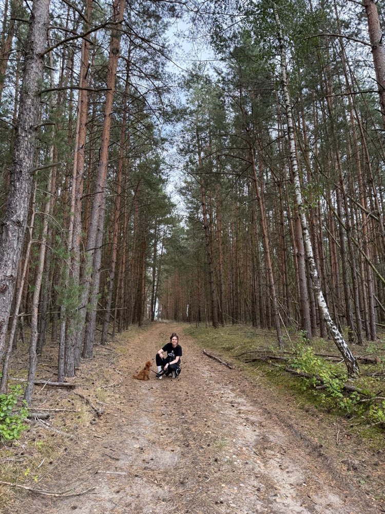 Hundetreffen-Welpen- und Junghundetreffen in Möllensdorf-Profilbild