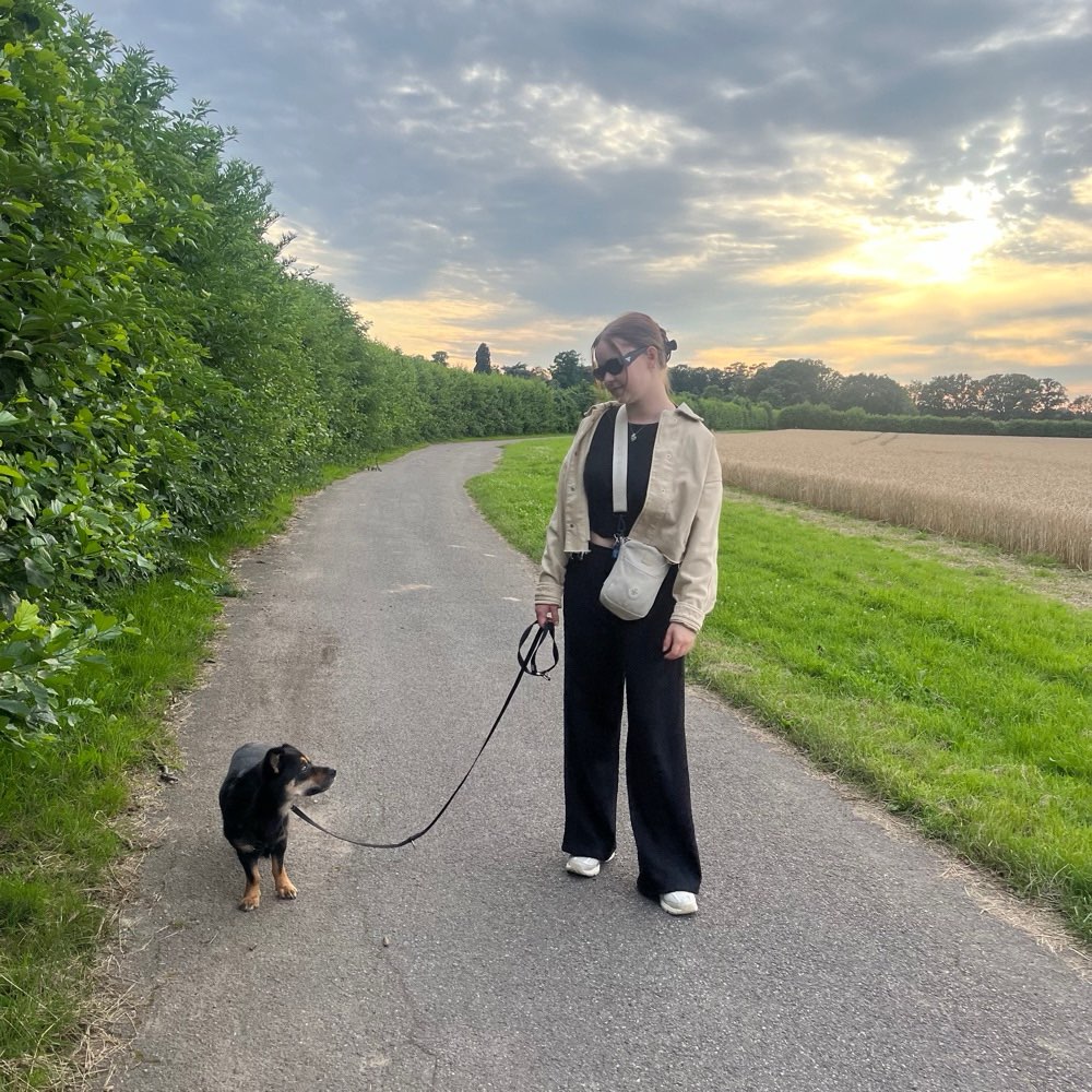 Hundetreffen-Gassirunde oder toben auf einer Freilaufwiese-Profilbild