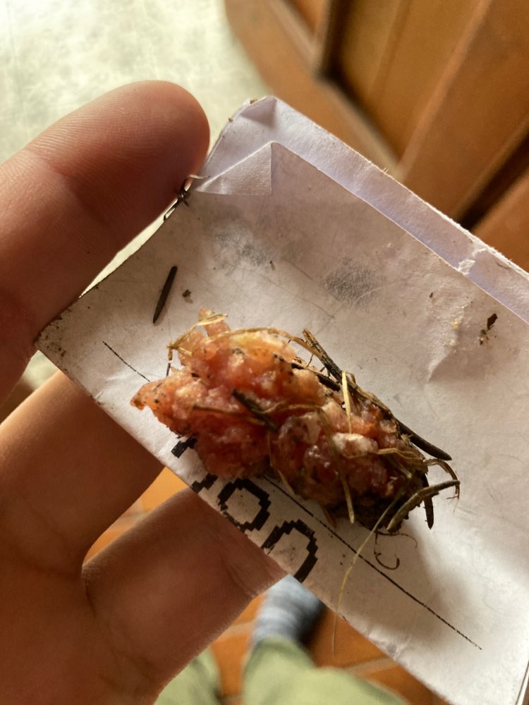 Giftköder-Verdacht auf Giftköder-Profilbild