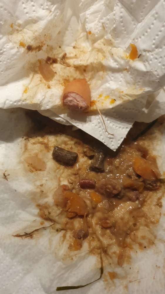 Giftköder-Würstchen mit Rattengift-Profilbild