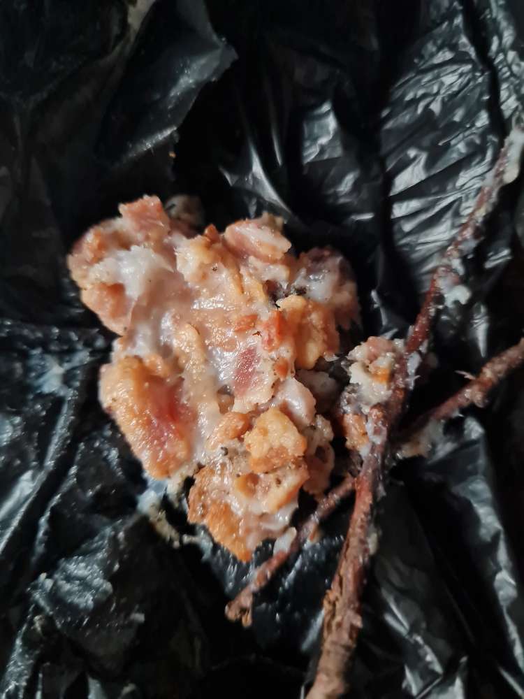 Giftköder-Verdächtige Substanz-Profilbild