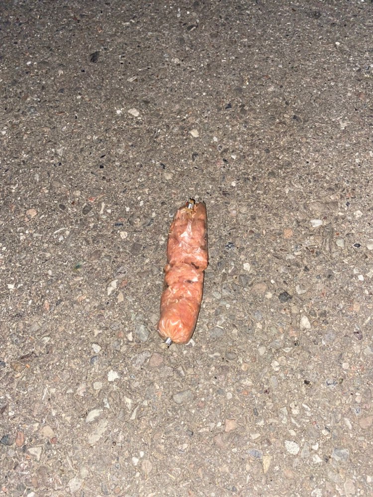 Giftköder-Wurst mit Maden-Profilbild