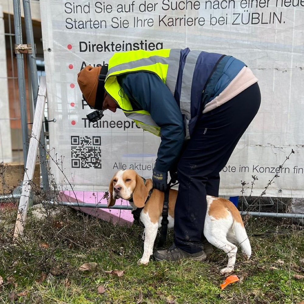 Hundetreffen-Mantrailing nach Kocher Rastatt-Karlsruhe-Pfinztal-Profilbild