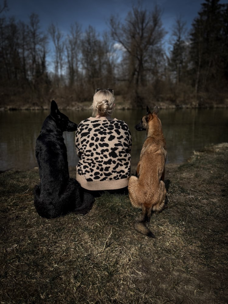 Hundetreffen-Hundetraining oder auch Spiel und Spaß.-Profilbild