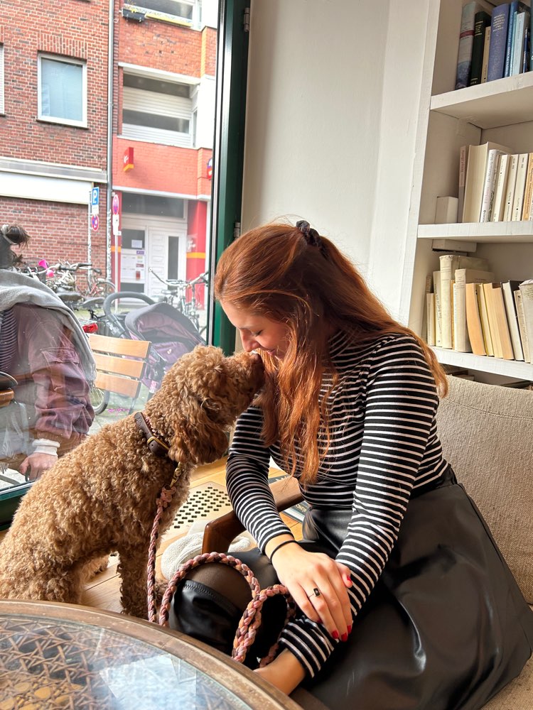 Hundetreffen-Gassirunde-Profilbild