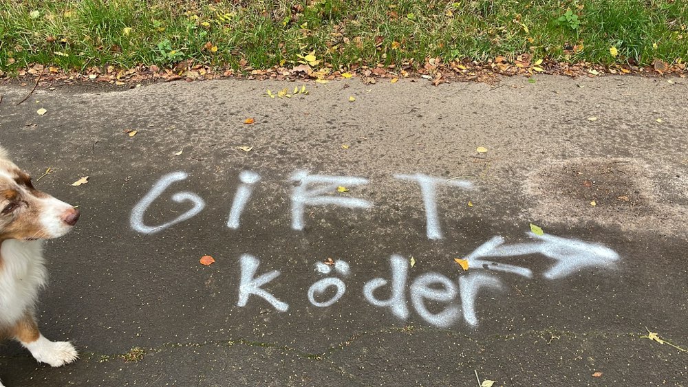 Giftköder-Erneute Giftköderdrohung-Profilbild