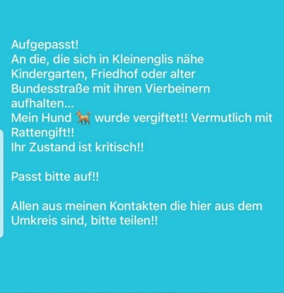 Giftköder-Hund vergiftet-Profilbild