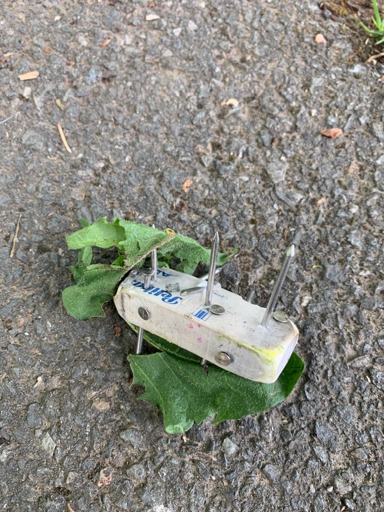 Giftköder-Radiergummi mit Nägeln-Profilbild