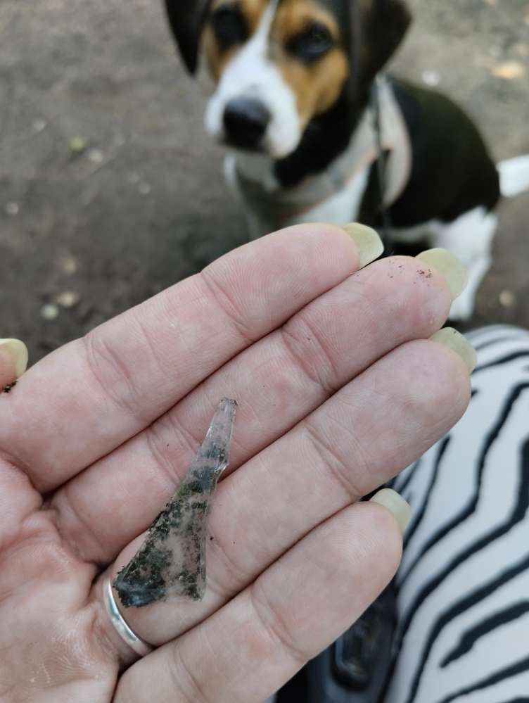 Giftköder-Glasscherben auf der Hundewiese Westpark-Profilbild