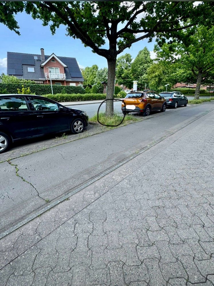 Giftköder-Eichen-Prozessionsspinner-Profilbild