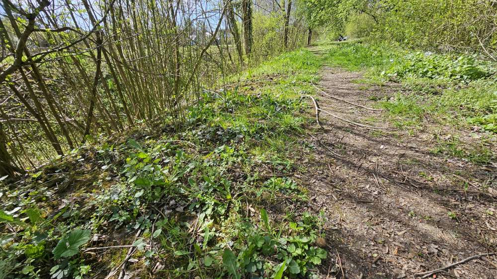 Giftköder-Köder mit Stecknadeln gespickt-Profilbild
