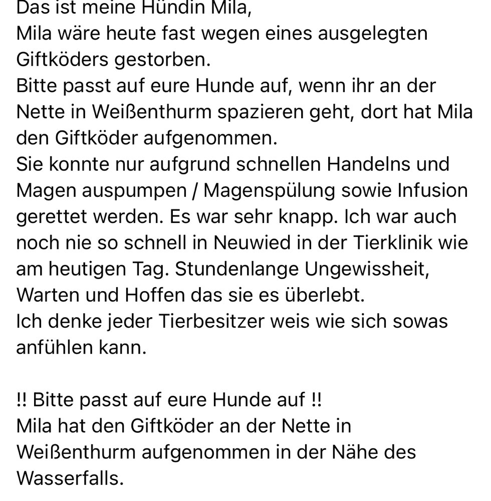 Giftköder-Giftköder an der Nette-Profilbild