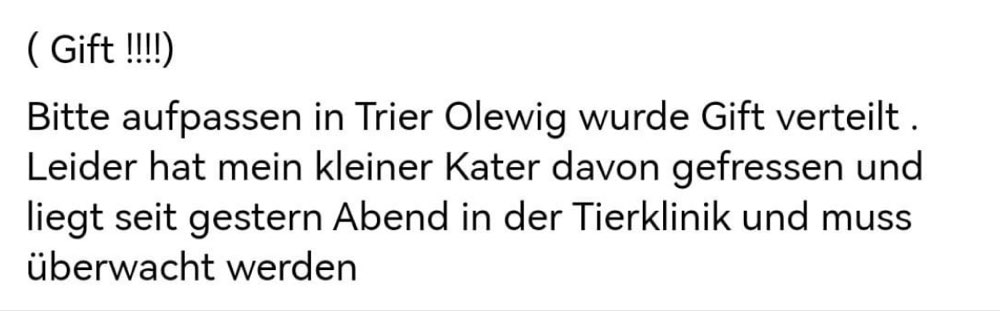 Giftköder-Ausgelegtes Gift-Profilbild
