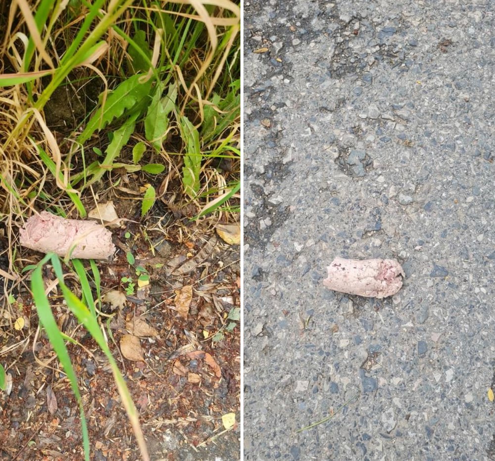 Giftköder-Giftköder im Bumperhölzl-Profilbild