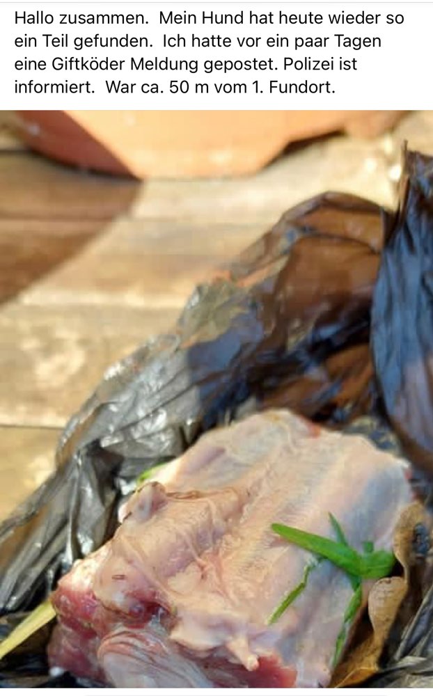 Giftköder-Erneuter Giftköderfund am Eckenberg-Profilbild