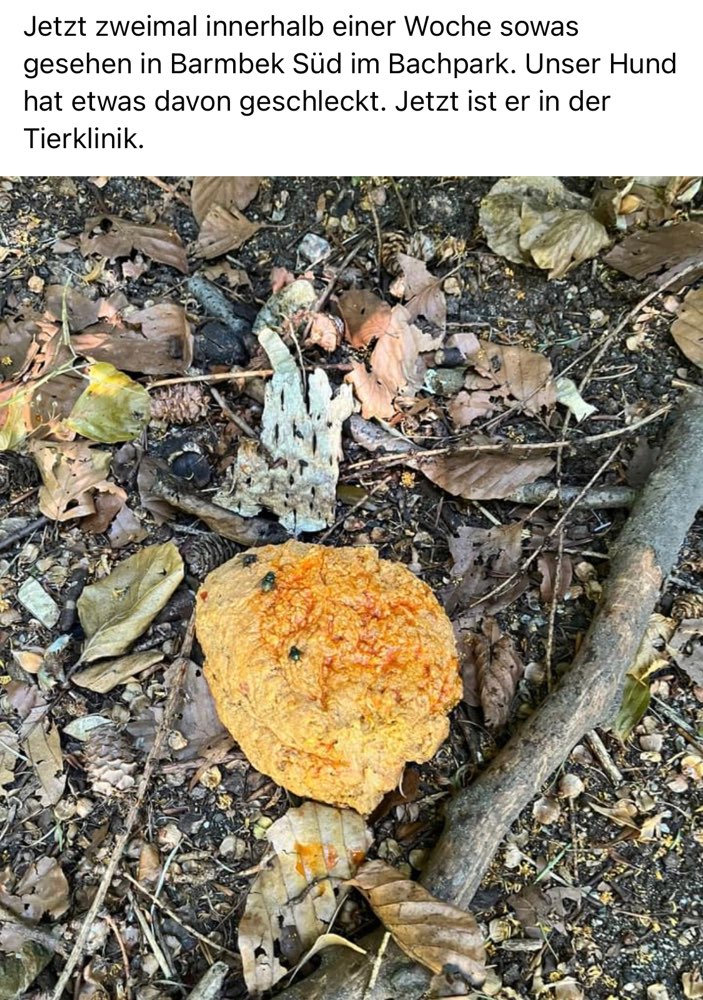 Giftköder-Merkwürdige Substanz-Profilbild