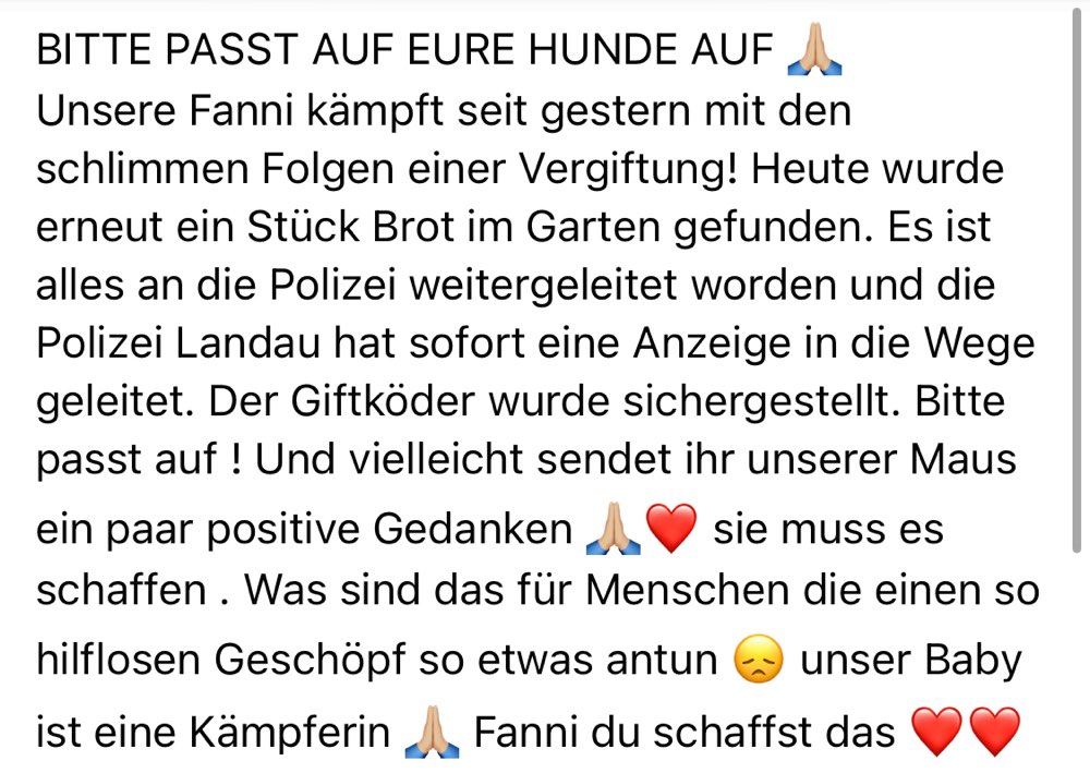 Giftköder-Vergiftetes Brot im Garten-Profilbild