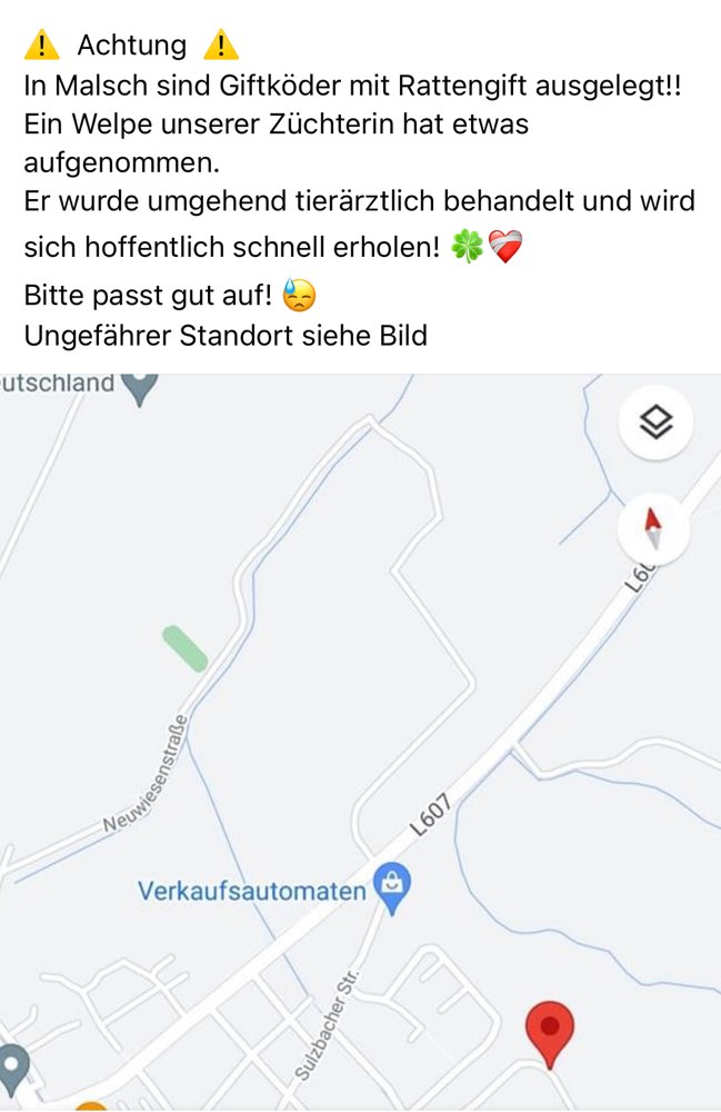 Giftköder-Giftköder mit Rattengift-Profilbild